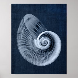 Navy Blue Beach Decor Seashell Art Print No. 11 Poster