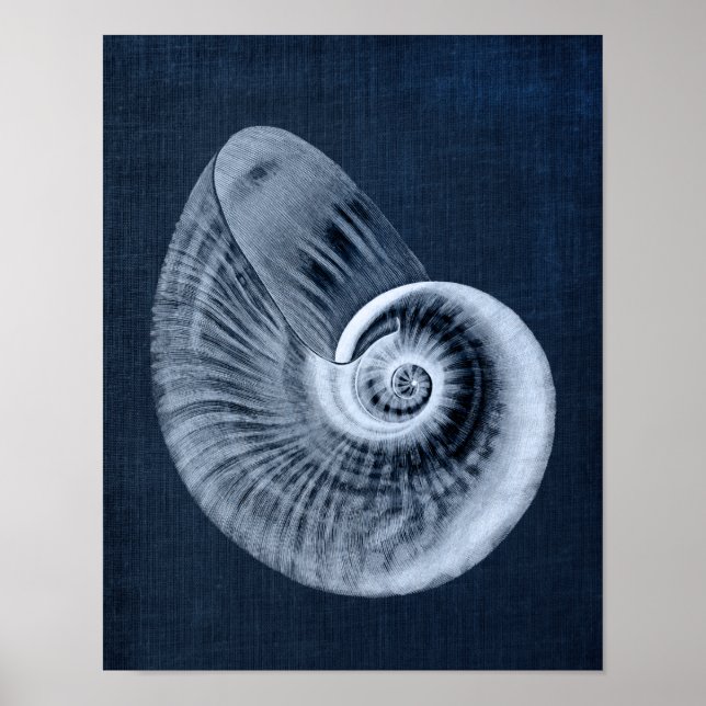 Navy Blue Beach Decor Seashell Art Print No. 11 Poster (Vorne)