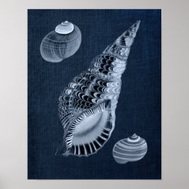 Navy Blue Beach Wall Decor Seashell Print No. 7 Poster