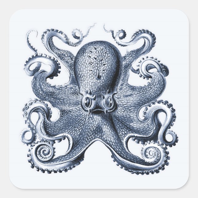 Navy Blue Octopus Illustration von Ernst Haeckel Quadratischer Aufkleber (Vorderseite)