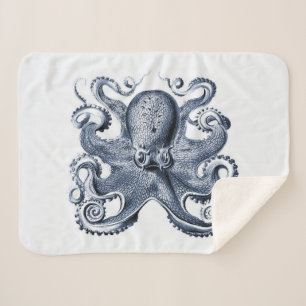 Navy Blue Octopus Illustration von Ernst Haeckel Sherpadecke