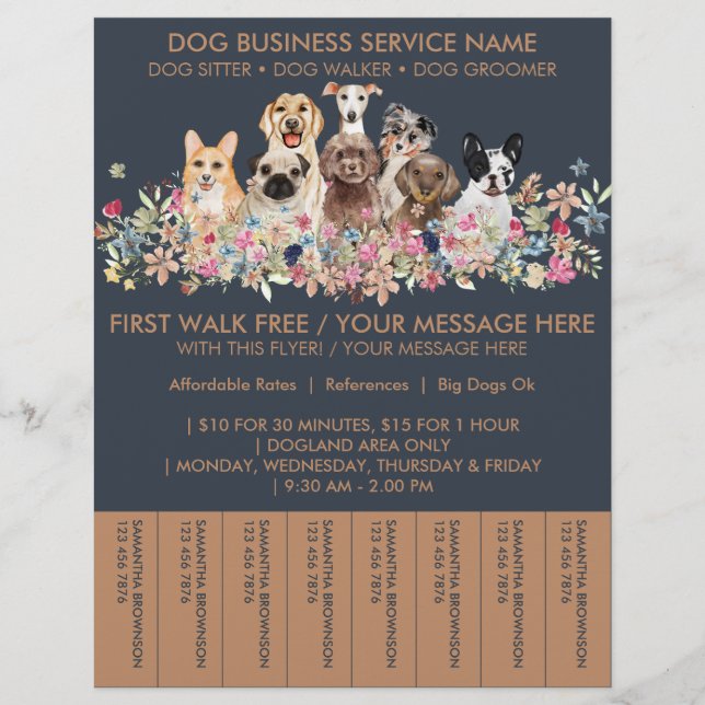 Navy Brown Reds Hunde Walker Budget Tickets Flyer (Vorne)