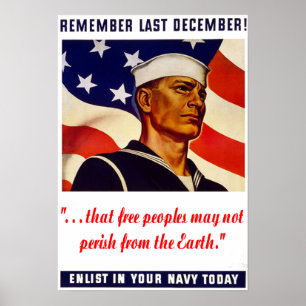 Navy Poster