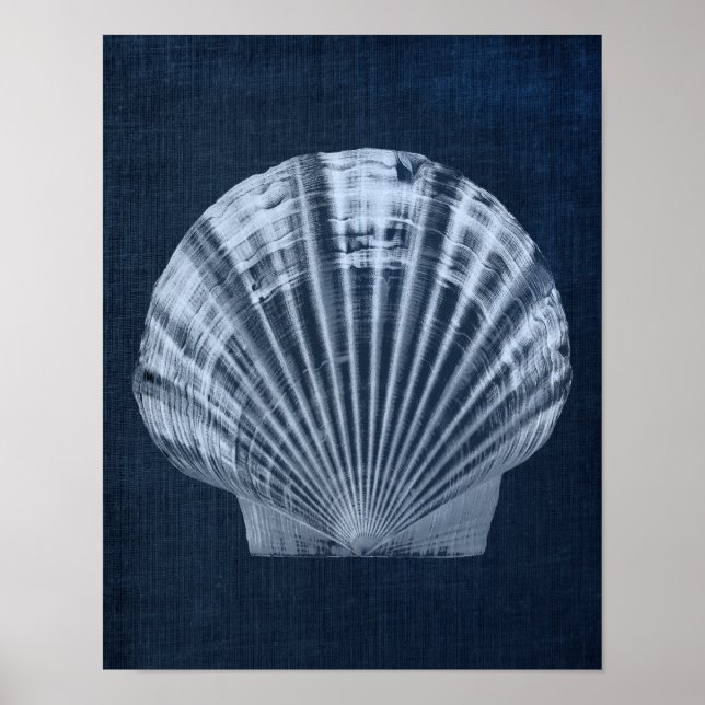 Navy Seashell Beach Deco Print No. 2 Poster (Vorne)
