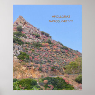 Naxos, Griechenland/ Farbige Vegetation am Hang Poster