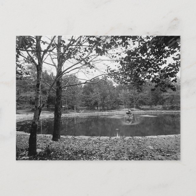 Nay Aug Park Scranton Pa. Postkarte (Vorderseite)