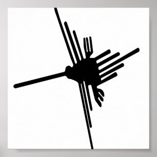 Nazca Hummingbird-Poster Poster