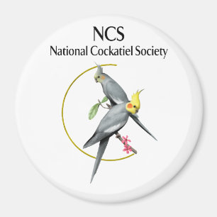 NCS Grosses 5-Zoll-Rundmagnet Magnet