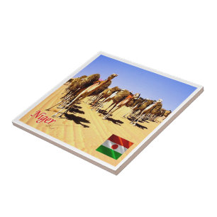 NE007 NIGER, Oasis Bilma, Fliese