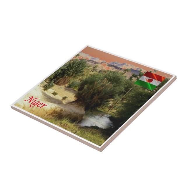 NE008 NIGER, Oasis Bilma, Fliese (Seite)