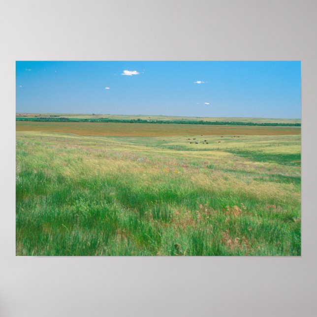 NE. Grasland bei Ogallala mit Poster (Vorne)