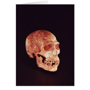 Neanderthal-Schädel, entdeckt auf Mt Carmel