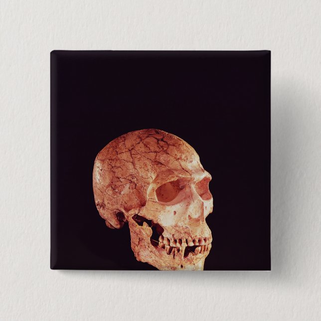 Neanderthal-Schädel, entdeckt auf Mt Carmel Button (Vorderseite)