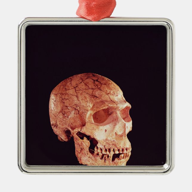 Neanderthal-Schädel, entdeckt auf Mt Carmel Ornament Aus Metall (Vorne)