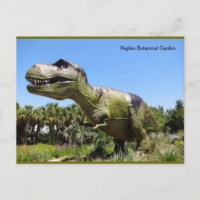 Neapel Florida Botanischer Garten - T Rex Dinosaur Postkarte (Vorderseite)