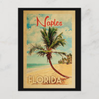 Neapel Florida Postcard Palm Tree Beach Vintag