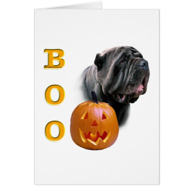 Neapolitan Mastiff Boo (Vorne)