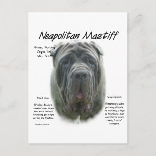 Neapolitan Mastiff (grau) Geschichtsdesign Postkarte