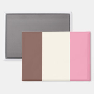 Neapolitanes Eiscreme-Muster Magnet