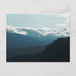 Near Falls Creek Falls Washington Postcard Postkarte