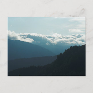 Near Falls Creek Falls Washington Postcard Postkarte