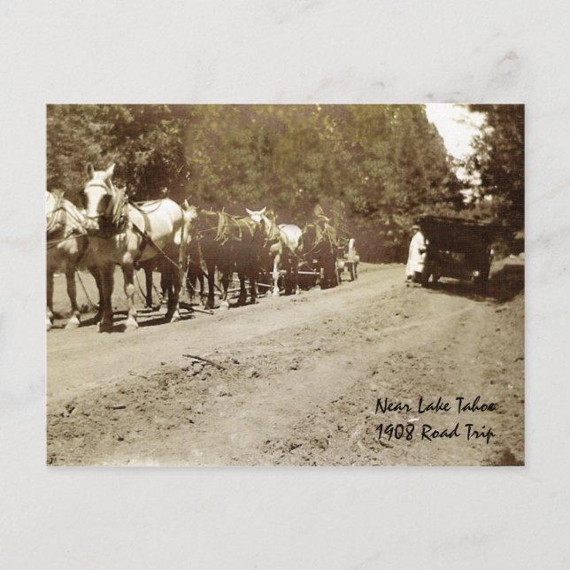 Near Tahoe - 1908 Postkarte (Vorderseite)