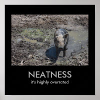 NEATNESS: Es ist hoch überbewertet