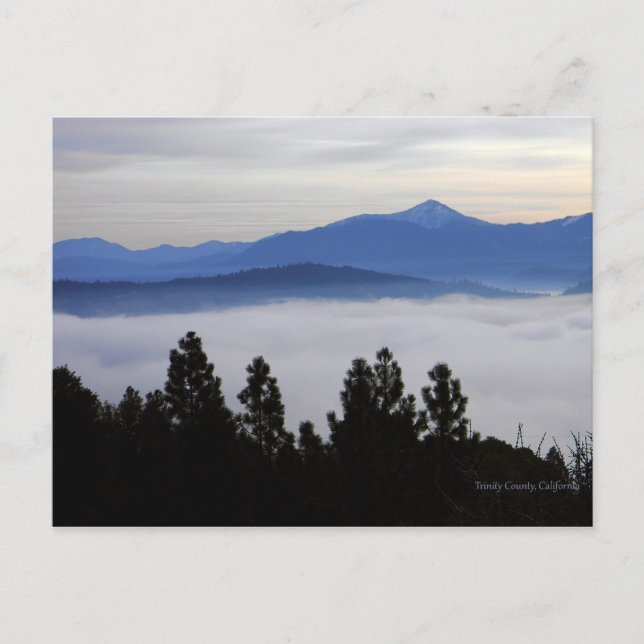 Nebel am frühen Morgen... Postkarte (Vorderseite)