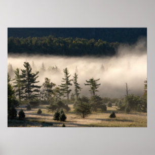 Nebel am Morgen in den Adirondacks 4 Poster