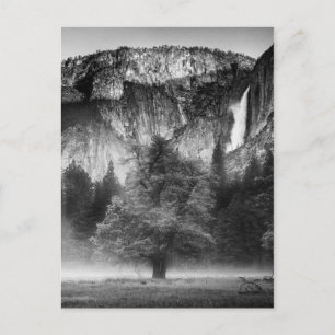 Nebel auf der Wiese Postkarte