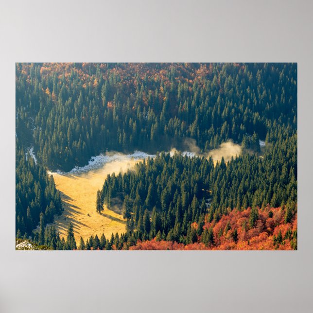 Nebel auf einem einsamen Herbstfeld Poster (Vorne)