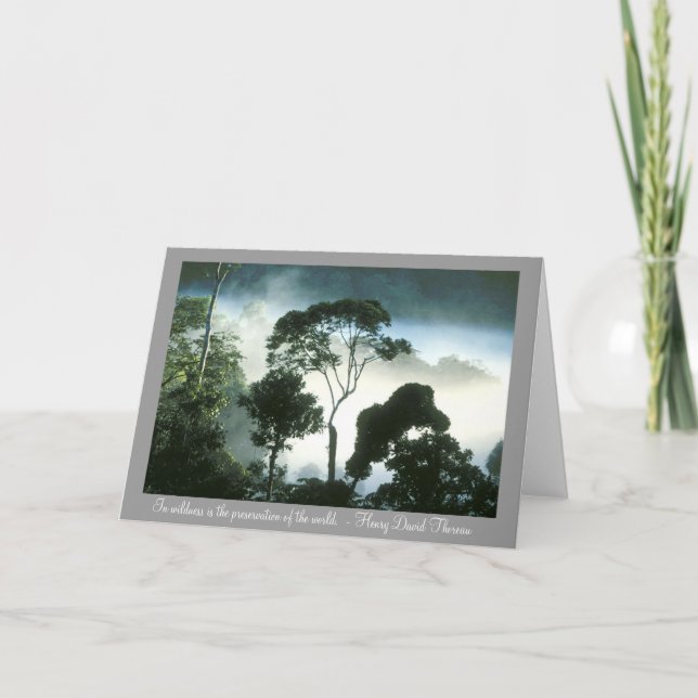 Nebel hüllt Amazonas-Regenwald ein Karte (Vorderseite)