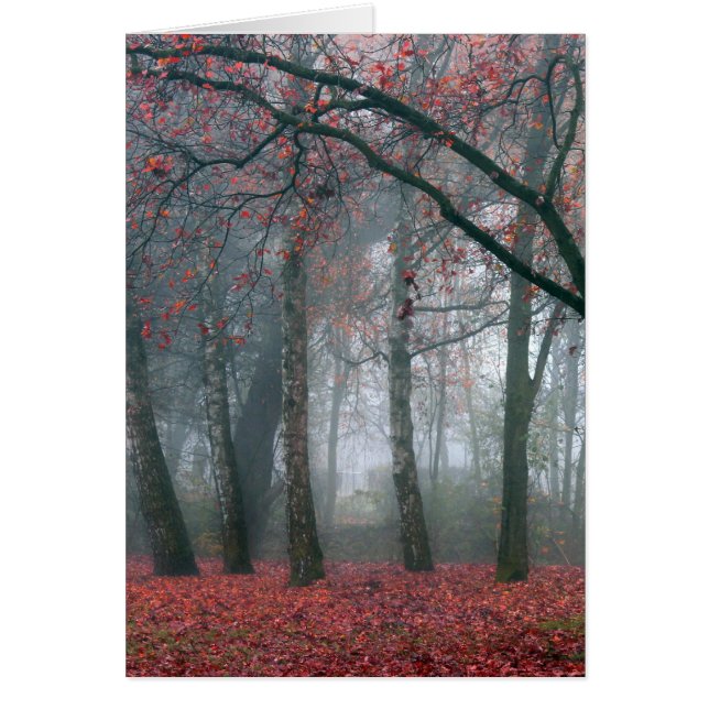 Nebel im Herbstwald mit roten Blätter (Vorne)