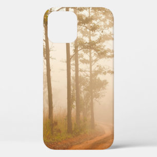 Nebel im KiefernwaldWald, schön, schwarz, dunkel, Case-Mate iPhone Hülle