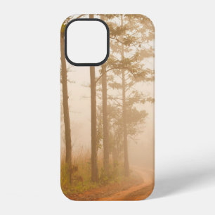 Nebel im KiefernwaldWald, schön, schwarz, dunkel, iPhone 12 Hülle