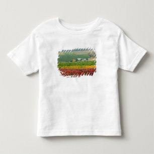 Nebel kriecht über das Weingut Gehring Brothers, e Kleinkind T-shirt