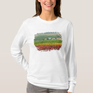 Nebel kriecht über das Weingut Gehring Brothers, e T-Shirt