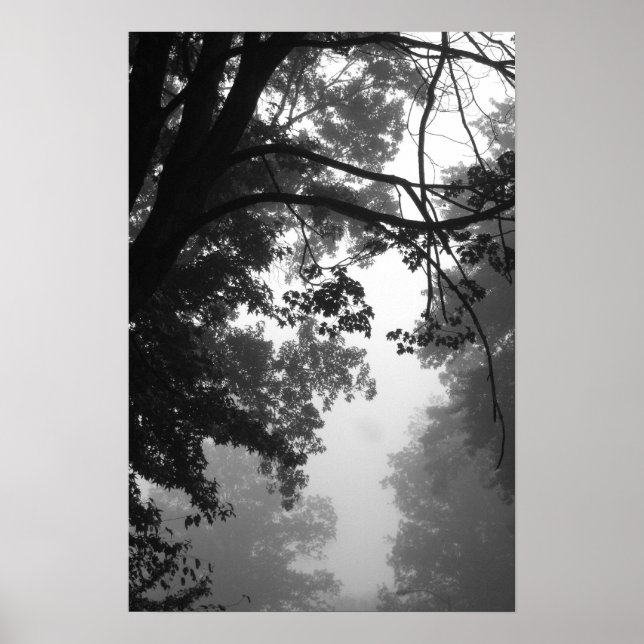 Nebel Poster (Vorne)