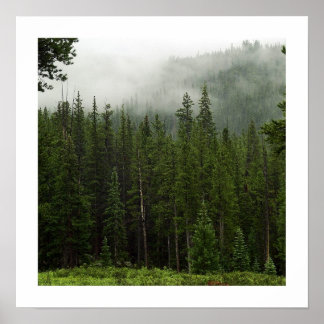Nebel Poster