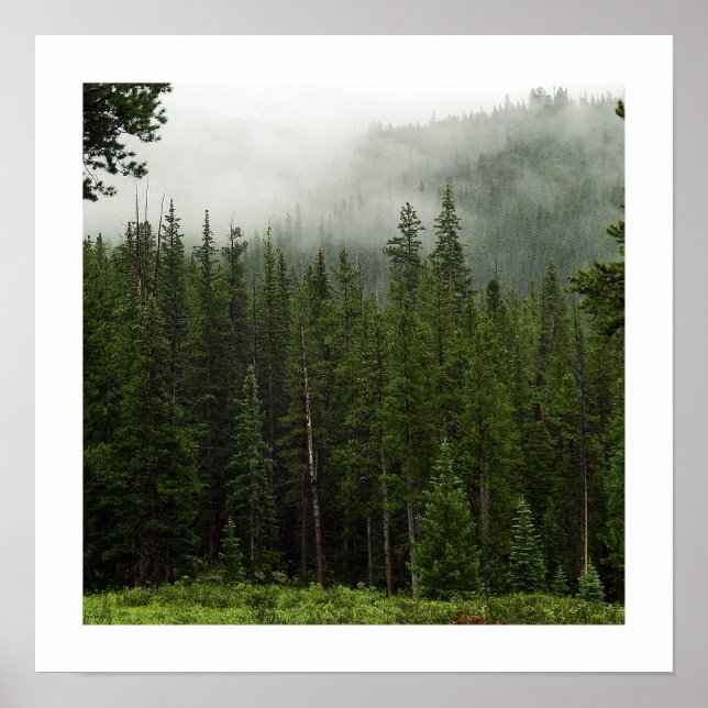 Nebel Poster (Vorne)