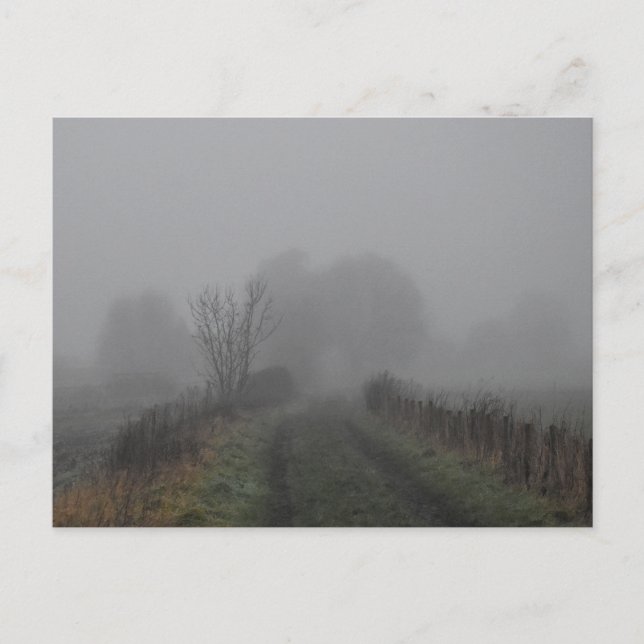 Nebel Postkarte (Vorderseite)