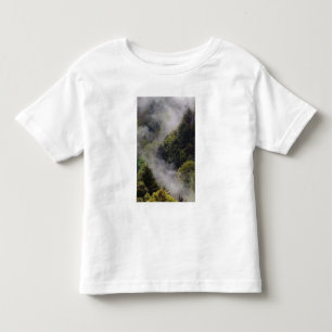 Nebel steigt nach Frühlingsregen vom Berghang auf, Kleinkind T-shirt