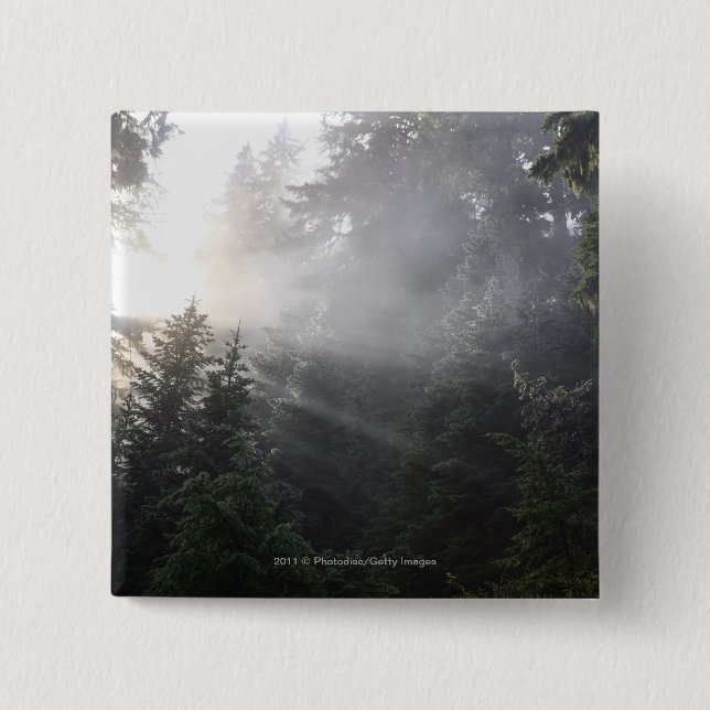 Nebel u. Sun-Strahlen in einem Washington-Wald Button (Vorderseite)