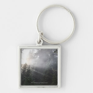 Nebel u. Sun-Strahlen in einem Washington-Wald Schlüsselanhänger