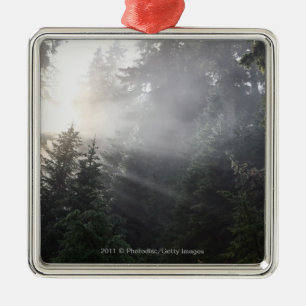 Nebel u. Sun-Strahlen in einem Washington-Wald Silbernes Ornament