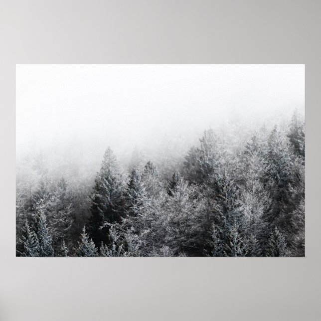 Nebel über gefrorenem Wald Poster (Vorne)