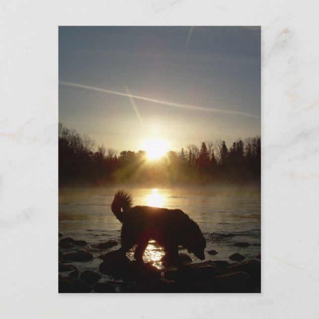 Nebel über Mississippi River Postkarte (Vorderseite)