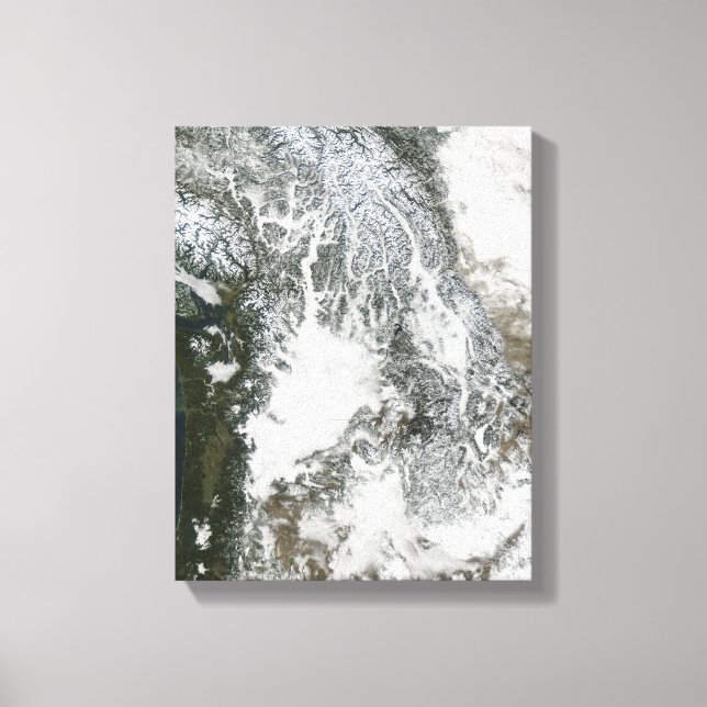 Nebel und Schnee im Pazifischen Nordwesten (wahre  Leinwanddruck (Vorderseite)