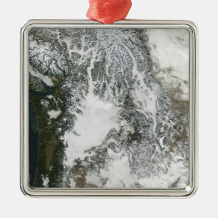Nebel und Schnee im pazifischen Nordwesten (wahres Ornament Aus Metall