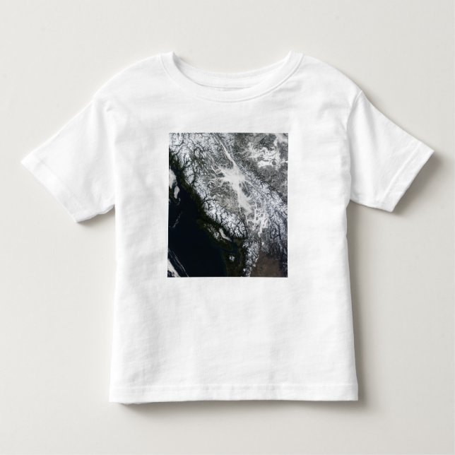 Nebel und Schnee in British Columbia Kleinkind T-shirt (Vorderseite)